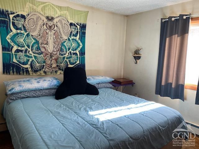233 Silver Spr Road Cairo, NY 12413 - Photo 5 of 11 Bed room #2