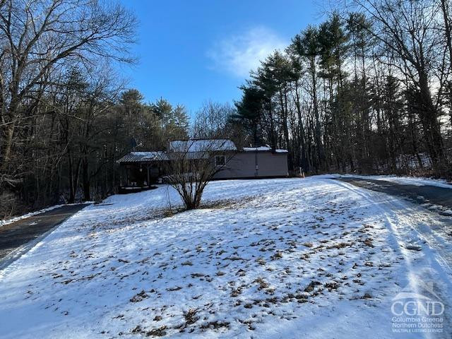 233 Silver Spr Road Cairo, NY 12413 - Photo 10 of 11 View from down the driveway