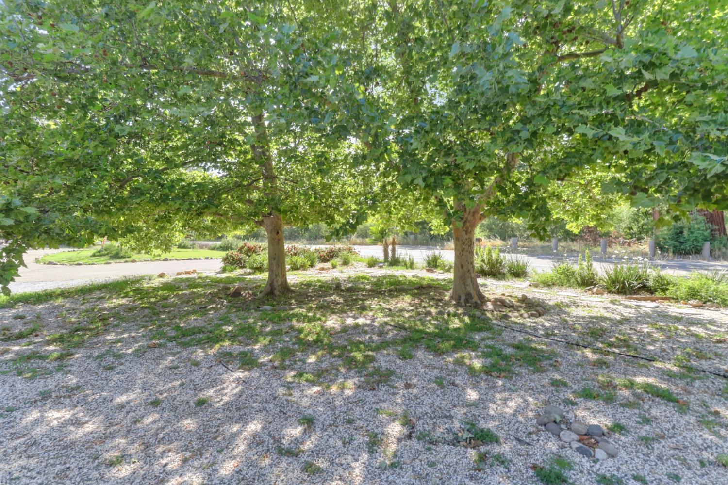 4330 Cavitt Stallman Road Granite Bay, CA 95746 - Photo 70 of 85