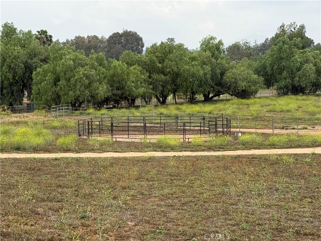 2165 Lilac Road Ramona, CA 92065 - Photo 36 of 49 a view of a green field