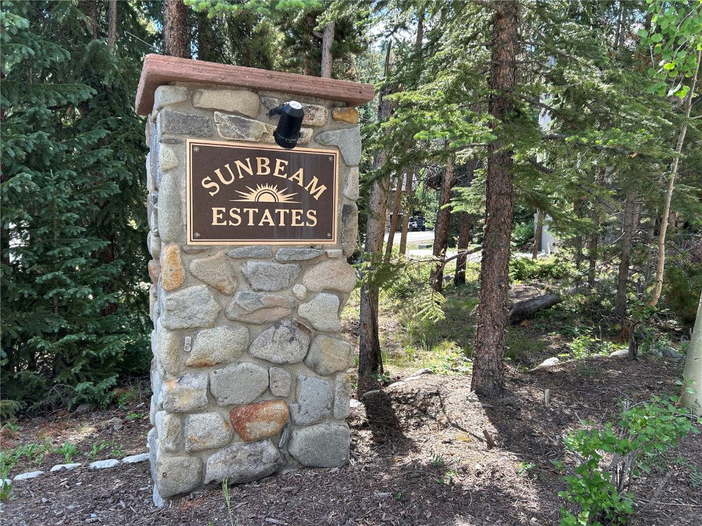 112 Klack Road Breckenridge, CO 80424 - Photo 44 of 49 Gallery Image 44