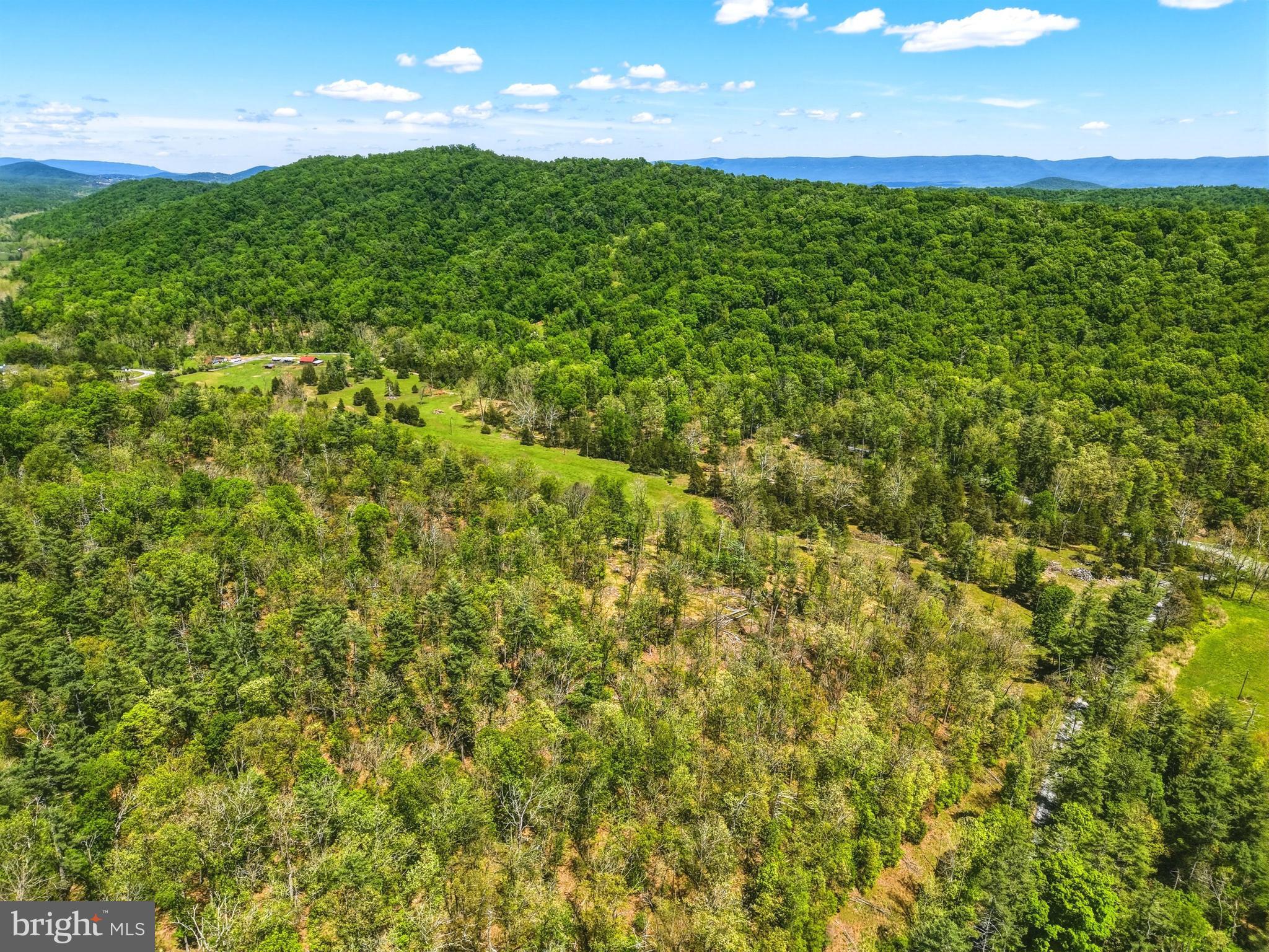 0 Hepner Road Mount Jackson, VA 22842 - Photo 4 of 19