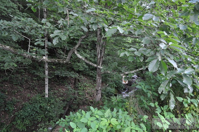 175 Junaluska Road Boone, NC 28607 - Photo 23 of 34 Gallery Image 23