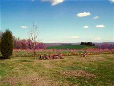 485 Handwerk Road Markleton, PA 15551 - Photo 6 of 7 Other.