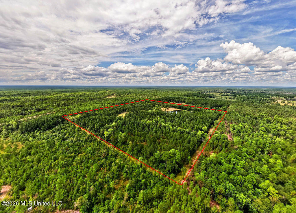 Wire Road Vancleave, MS 39565 - Photo 6 of 26 WireRdLand-3