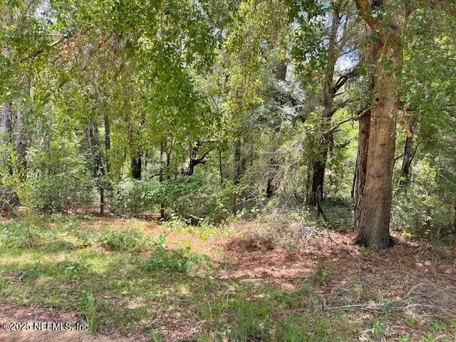 $60,000 | 0 Ashley Lake Drive, Melrose, FL 32666