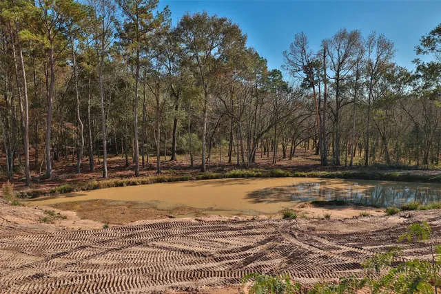 a view of a yard with trees