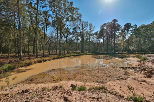 a view of swimming pool with outdoor seating and trees in the background
