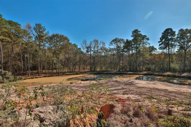 a view of a yard with trees in the background