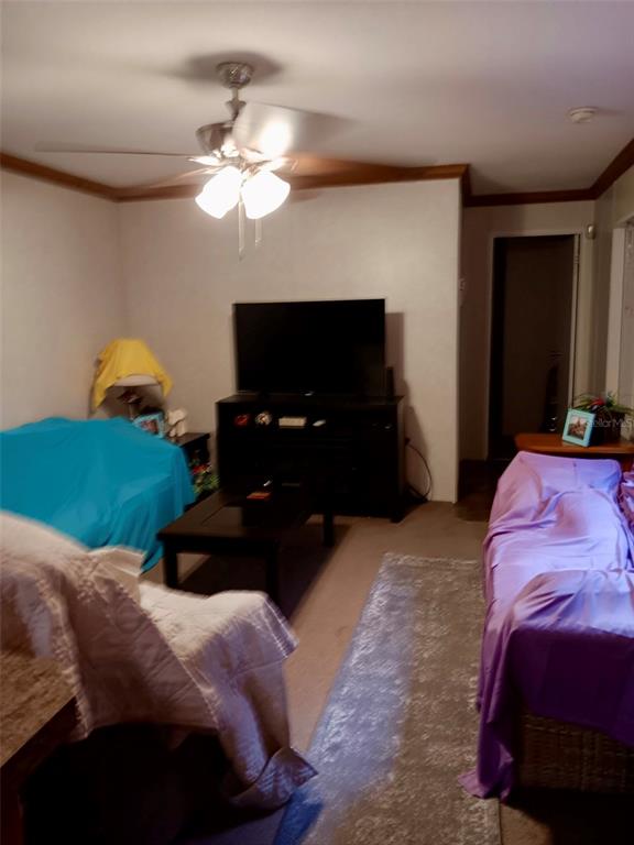 17749 Southeast 156th Place Road Weirsdale, FL 32195 - Photo 13 of 33