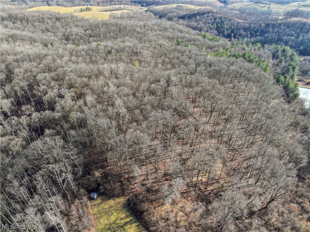 0 Tract 10 Kuhn Road Lewisville, OH 43754 - Photo 21 of 27