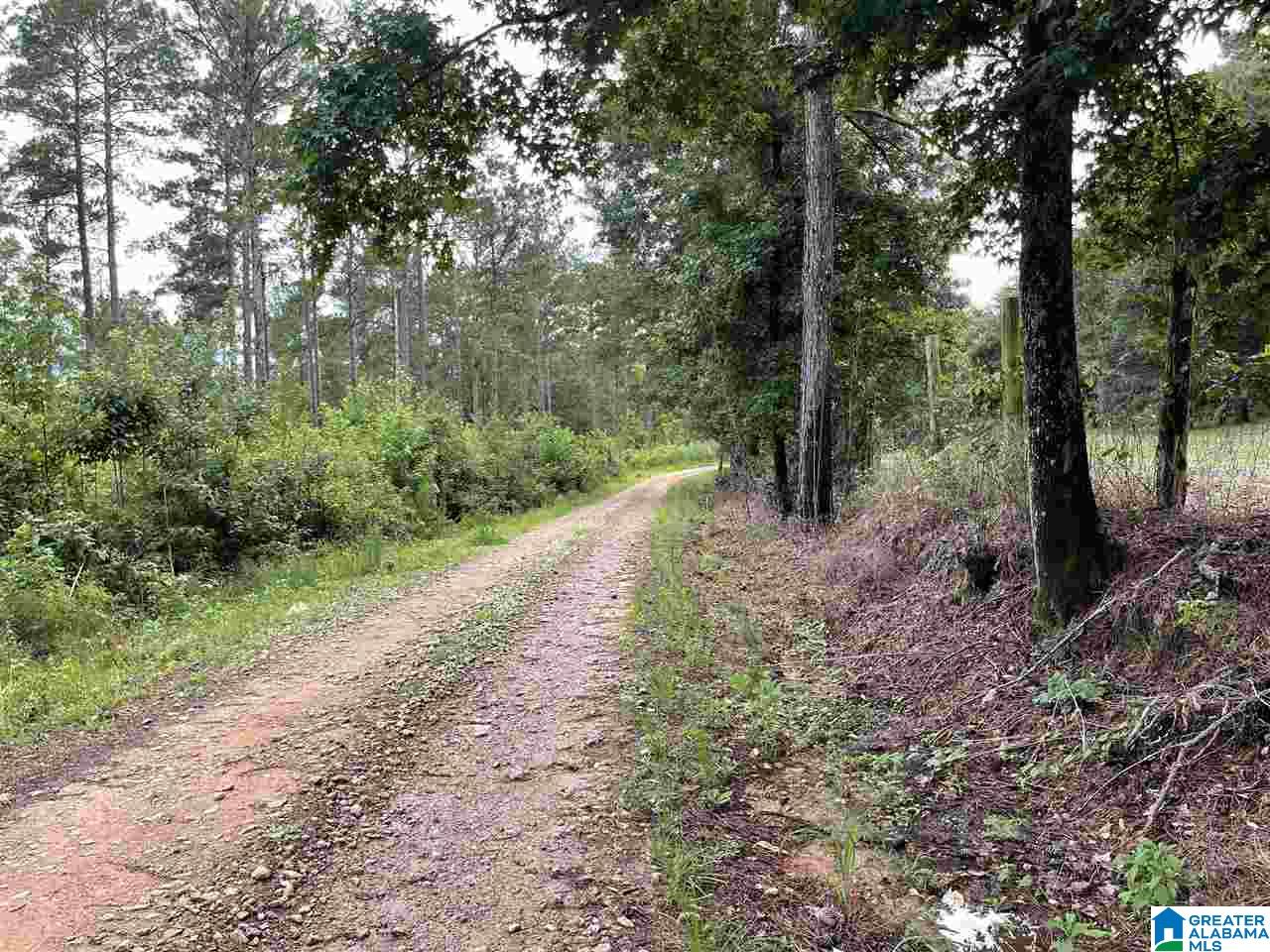 2829 Leander Road Daviston, AL 36256 - Photo 6 of 20