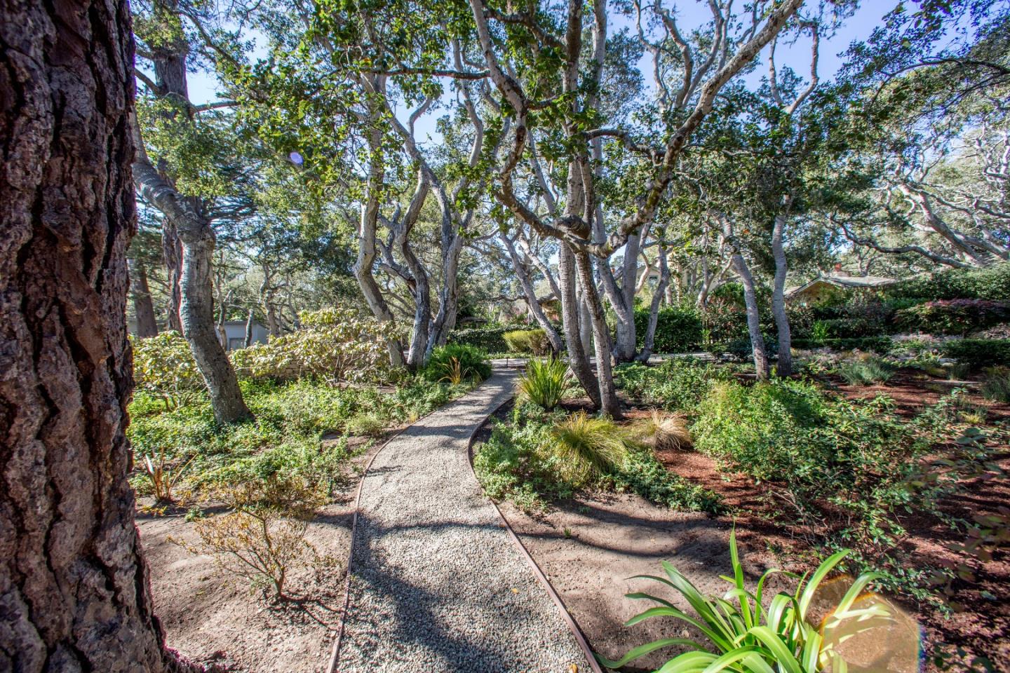 25951 Ridgewood Road Carmel, CA 93923 - Photo 21 of 23 a pathway of a yard