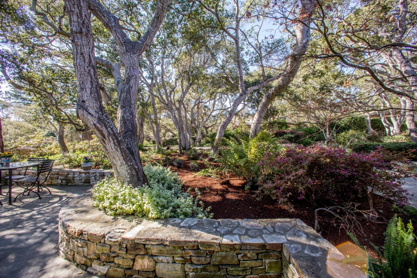 25951 Ridgewood Road Carmel, CA 93923 - Photo 23 of 23 a outdoor space with lots of trees
