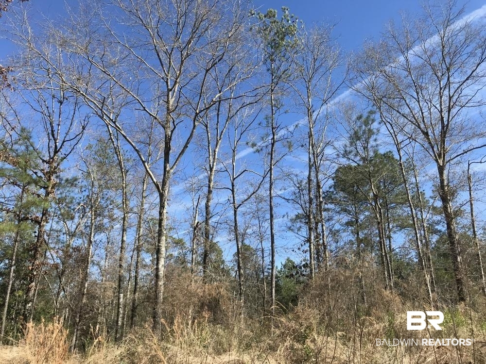 0 Private Road Citronelle, AL 36522 - Photo 9 of 27