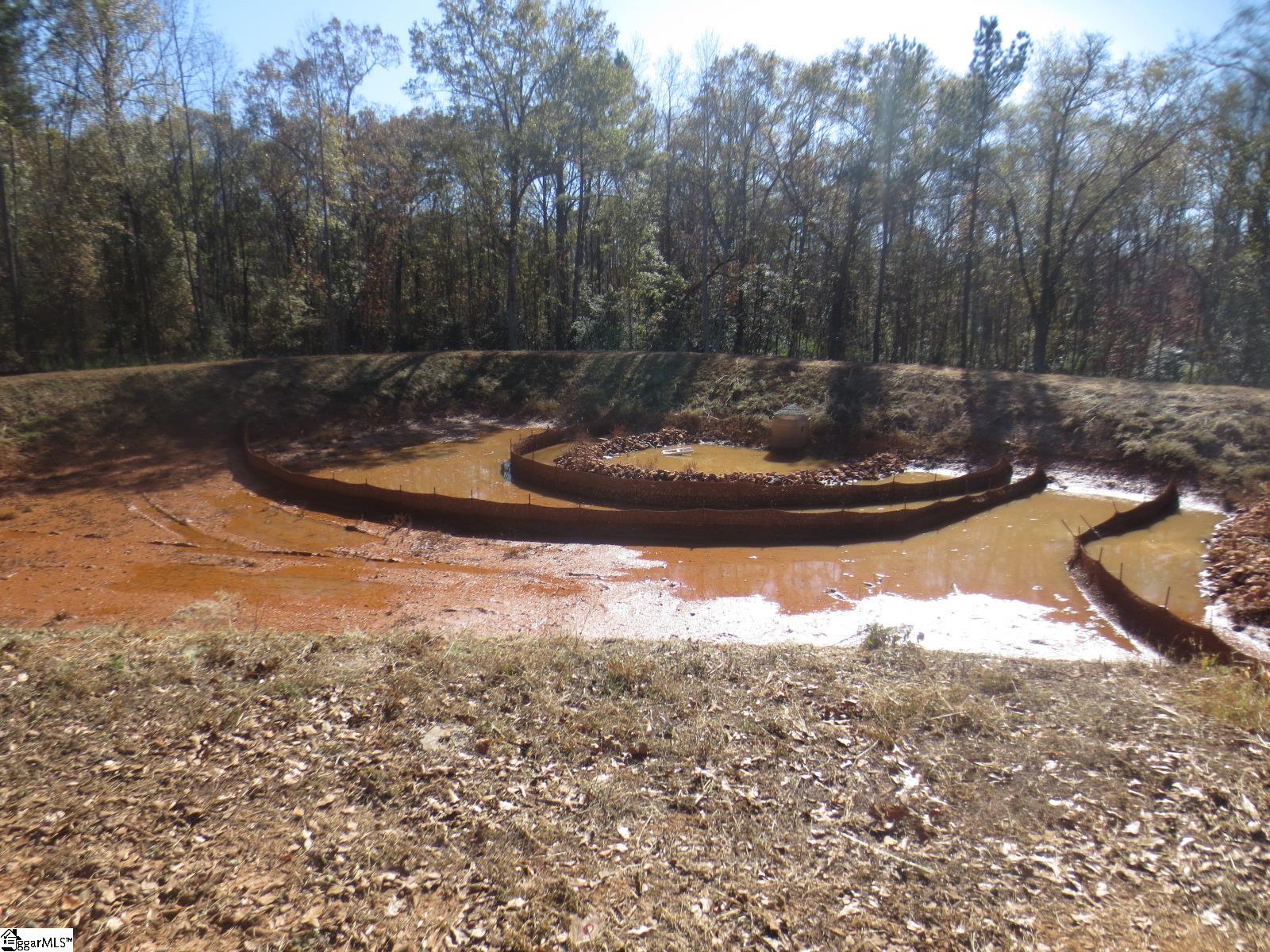 141 Rickys Path Easley, SC 29642 - Photo 47 of 49