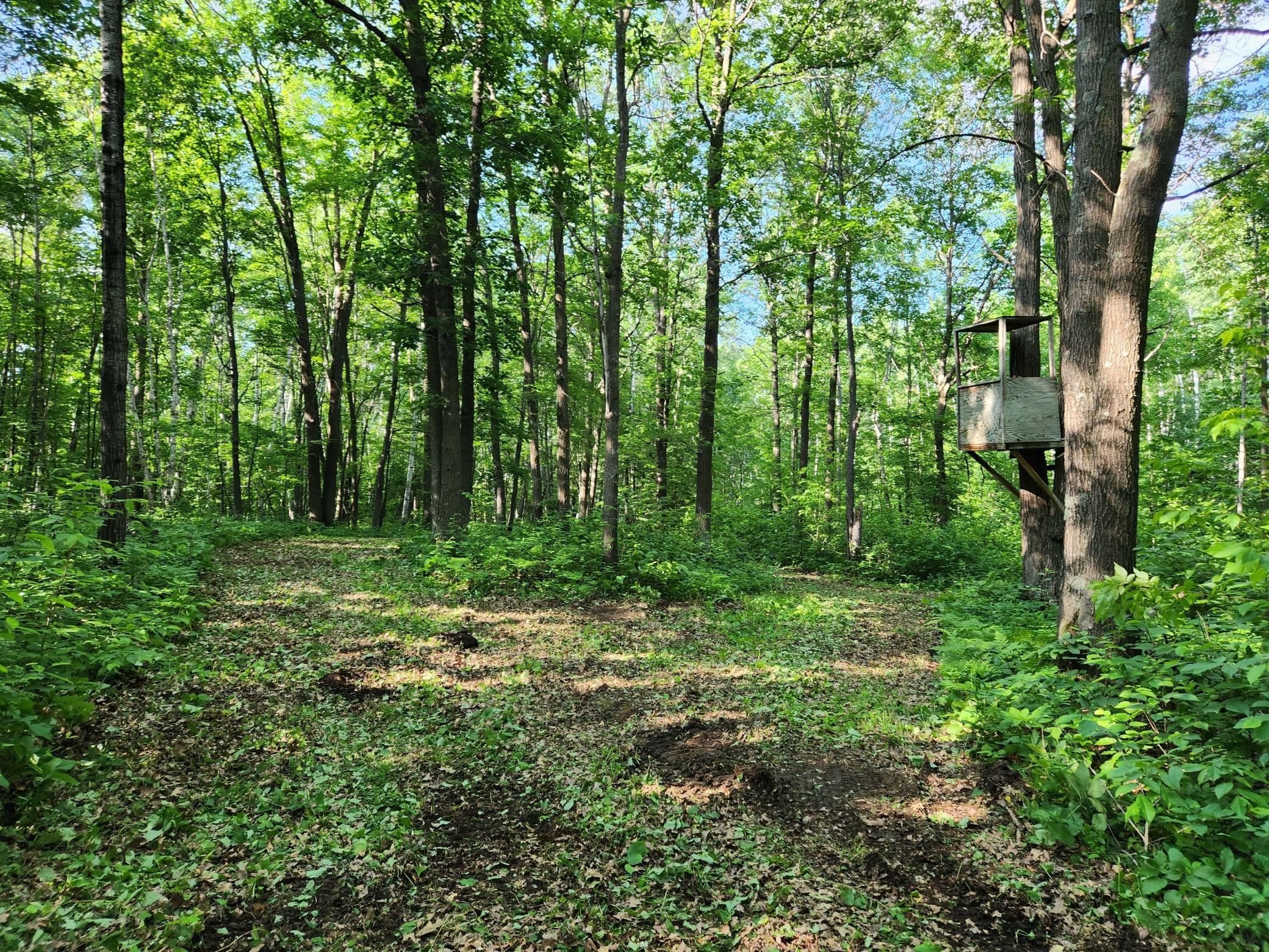 Tbd Tbd Nokay Hall Road Brainerd, MN 56401 - Photo 22 of 31