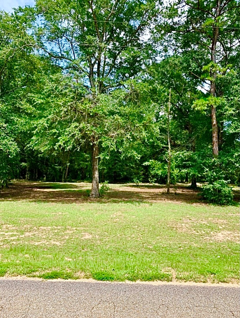 0 County Road 53 Abbeville, AL 36310 - Photo 2 of 10
