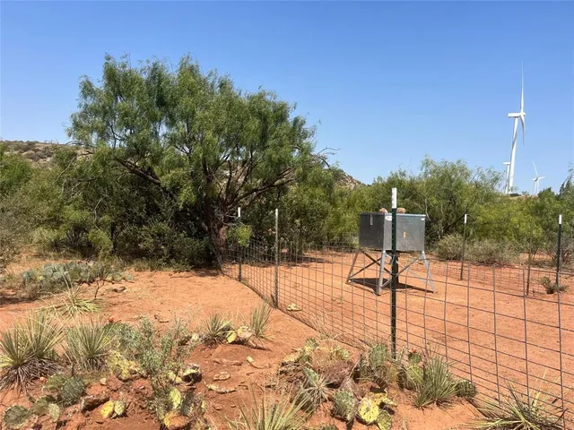 a street view covered with snow