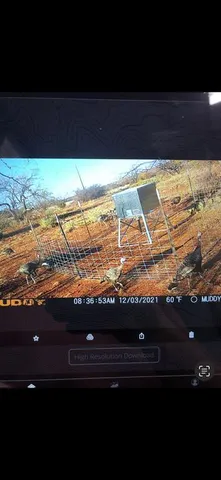 a view of ocean view