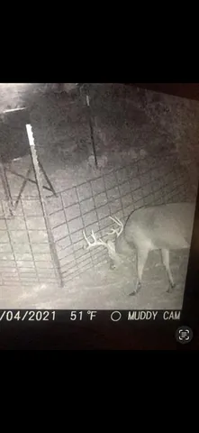 a view of wooden floor