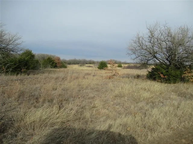 a view of beach and trees