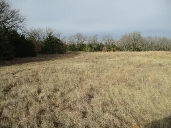 a view of a yard with trees in the background