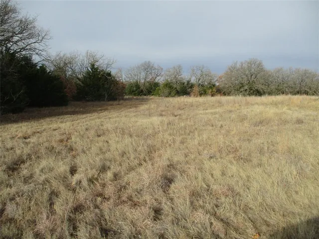 a view of a yard with trees in the background