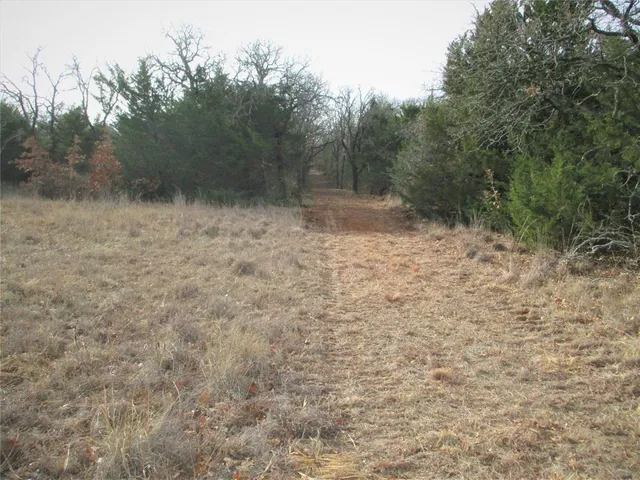 a view of a dry yard with trees in the background