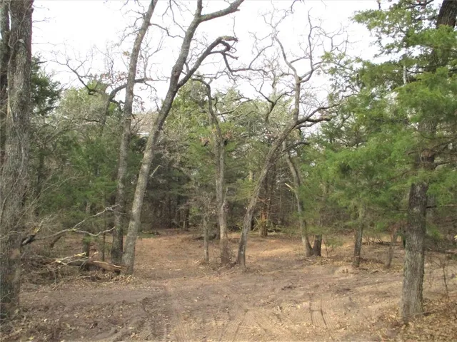 a view of backyard with green space