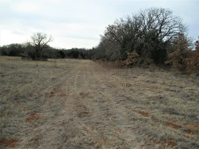 a view of a field with trees in the background