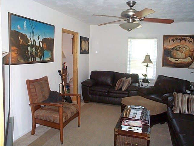 1009 Ray Road Southeast Roanoke, VA 24014 - Photo 9 of 9 LIVING ROOM