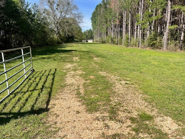 75 Odell Smith Road Tylertown, MS 39667 - Photo 28 of 63 Photo 28