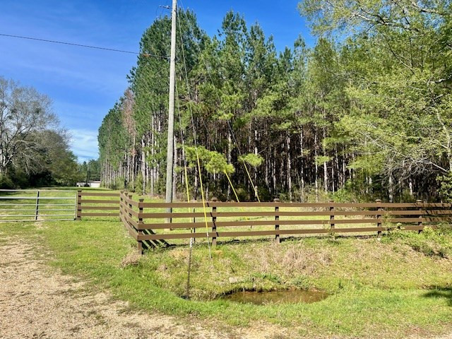 75 Odell Smith Road Tylertown, MS 39667 - Photo 29 of 63 Photo 29