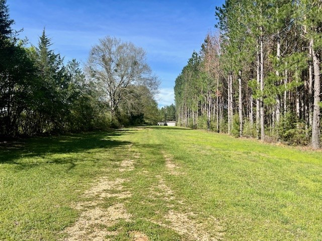 75 Odell Smith Road Tylertown, MS 39667 - Photo 30 of 63 Photo 30