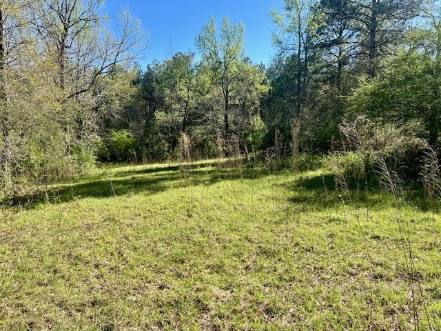 75 Odell Smith Road Tylertown, MS 39667 - Photo 31 of 63 Photo 31