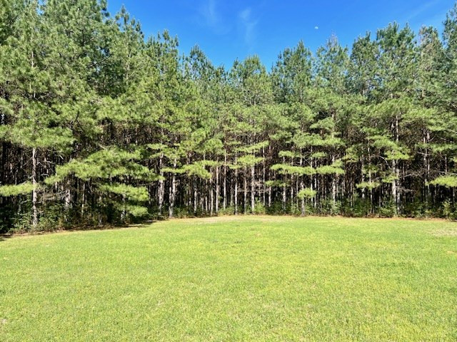 75 Odell Smith Road Tylertown, MS 39667 - Photo 32 of 63 Photo 32