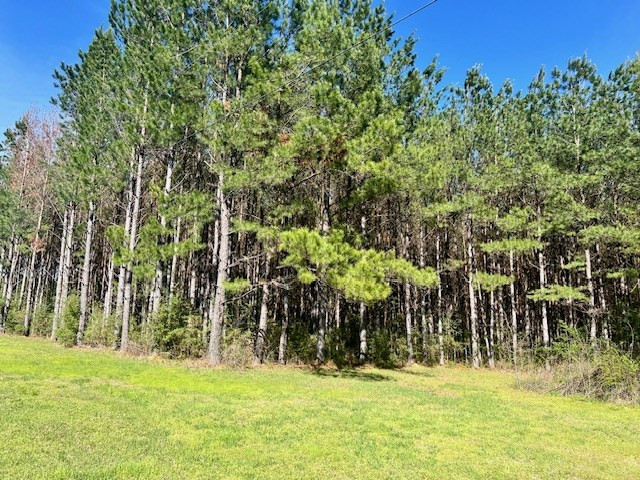 75 Odell Smith Road Tylertown, MS 39667 - Photo 33 of 63 Photo 33
