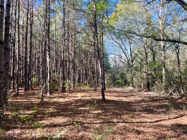 75 Odell Smith Road Tylertown, MS 39667 - Photo 35 of 63 Photo 35