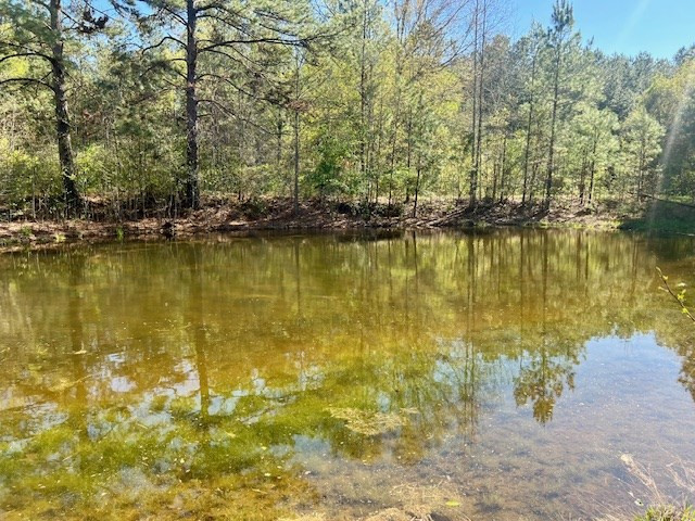 75 Odell Smith Road Tylertown, MS 39667 - Photo 38 of 63 Photo 38