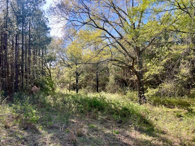 75 Odell Smith Road Tylertown, MS 39667 - Photo 39 of 63 Photo 39