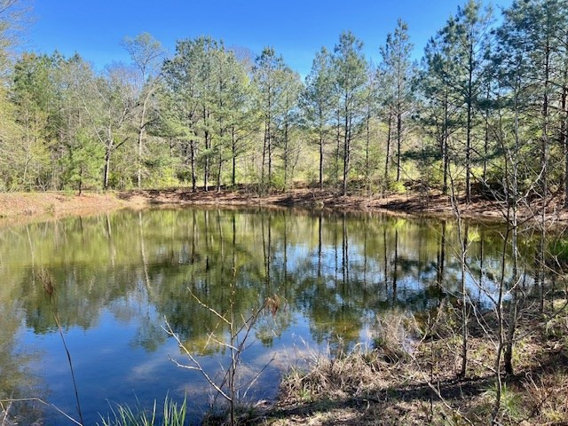 75 Odell Smith Road Tylertown, MS 39667 - Photo 50 of 63 Photo 50