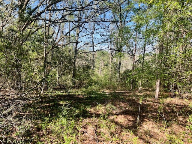 75 Odell Smith Road Tylertown, MS 39667 - Photo 55 of 63 Photo 55