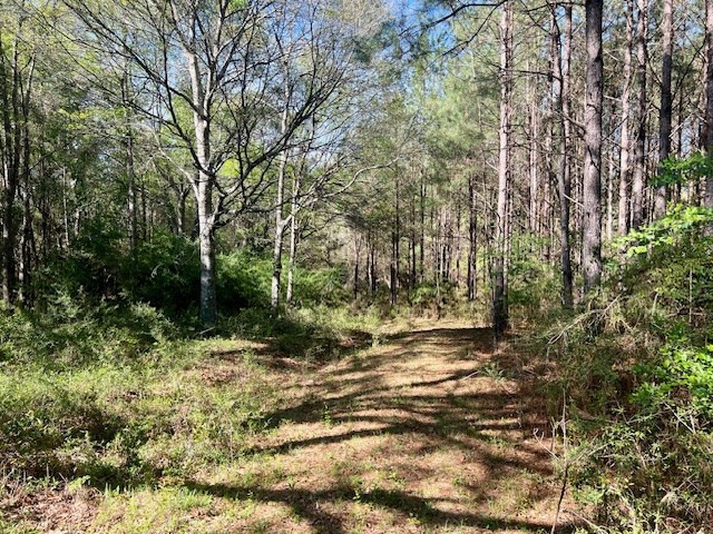 75 Odell Smith Road Tylertown, MS 39667 - Photo 58 of 63 Photo 58