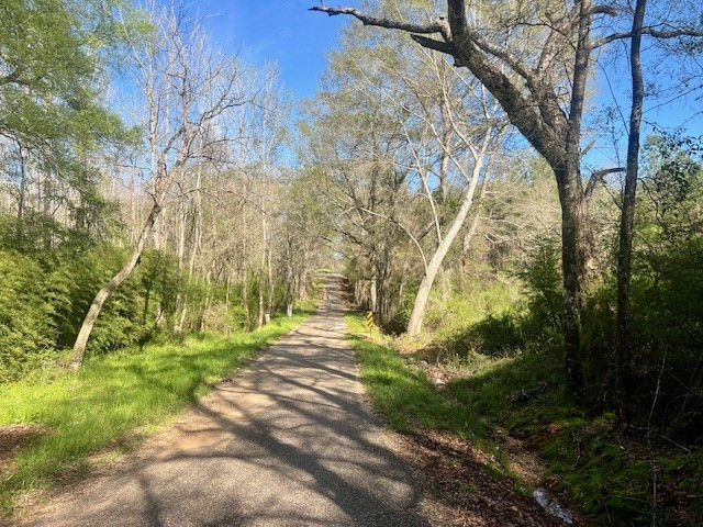 75 Odell Smith Road Tylertown, MS 39667 - Photo 61 of 63 Photo 61