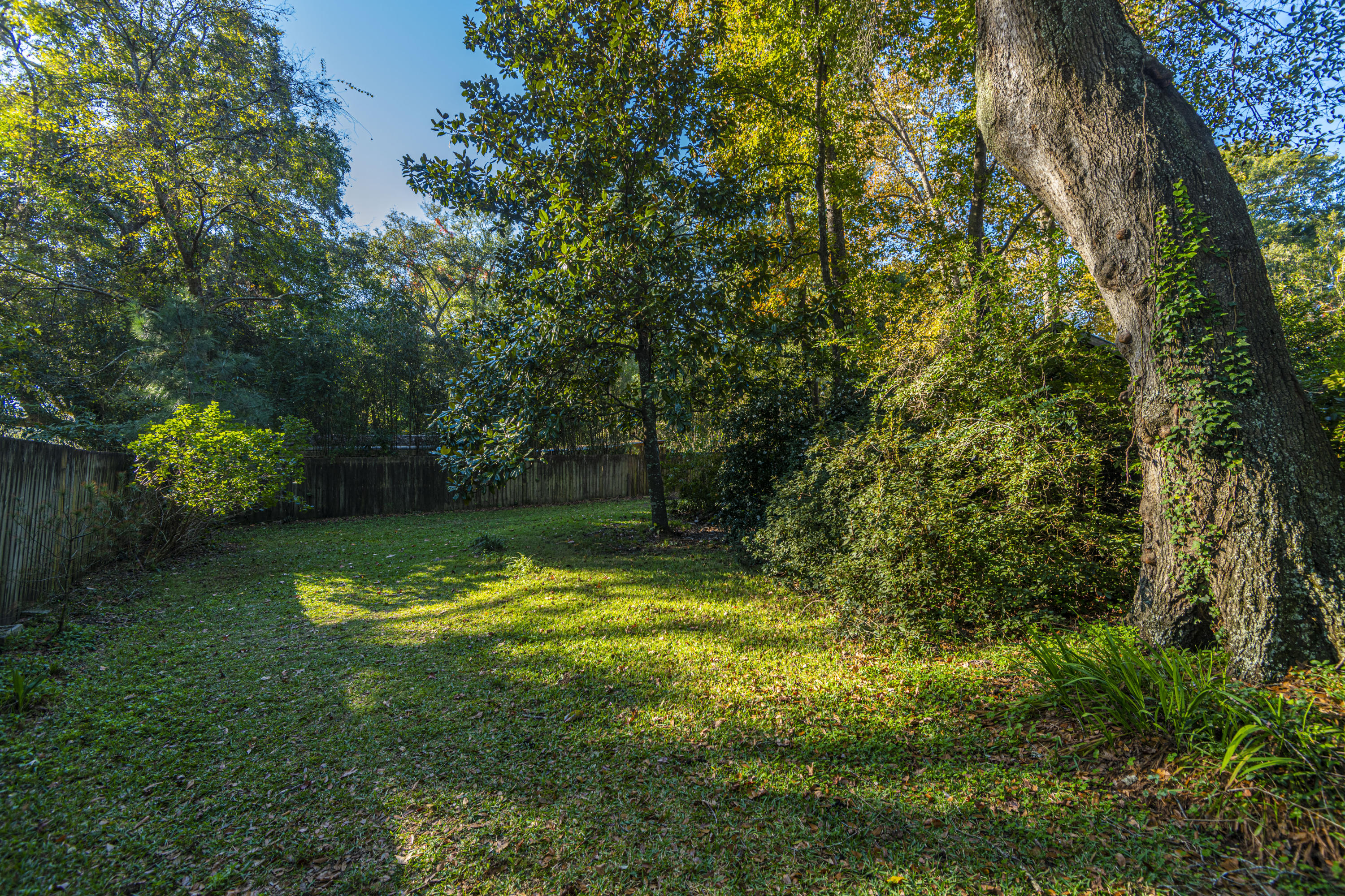 972 Three Trees Road James Island, SC 29412 - Photo 41 of 42 DSC_2732