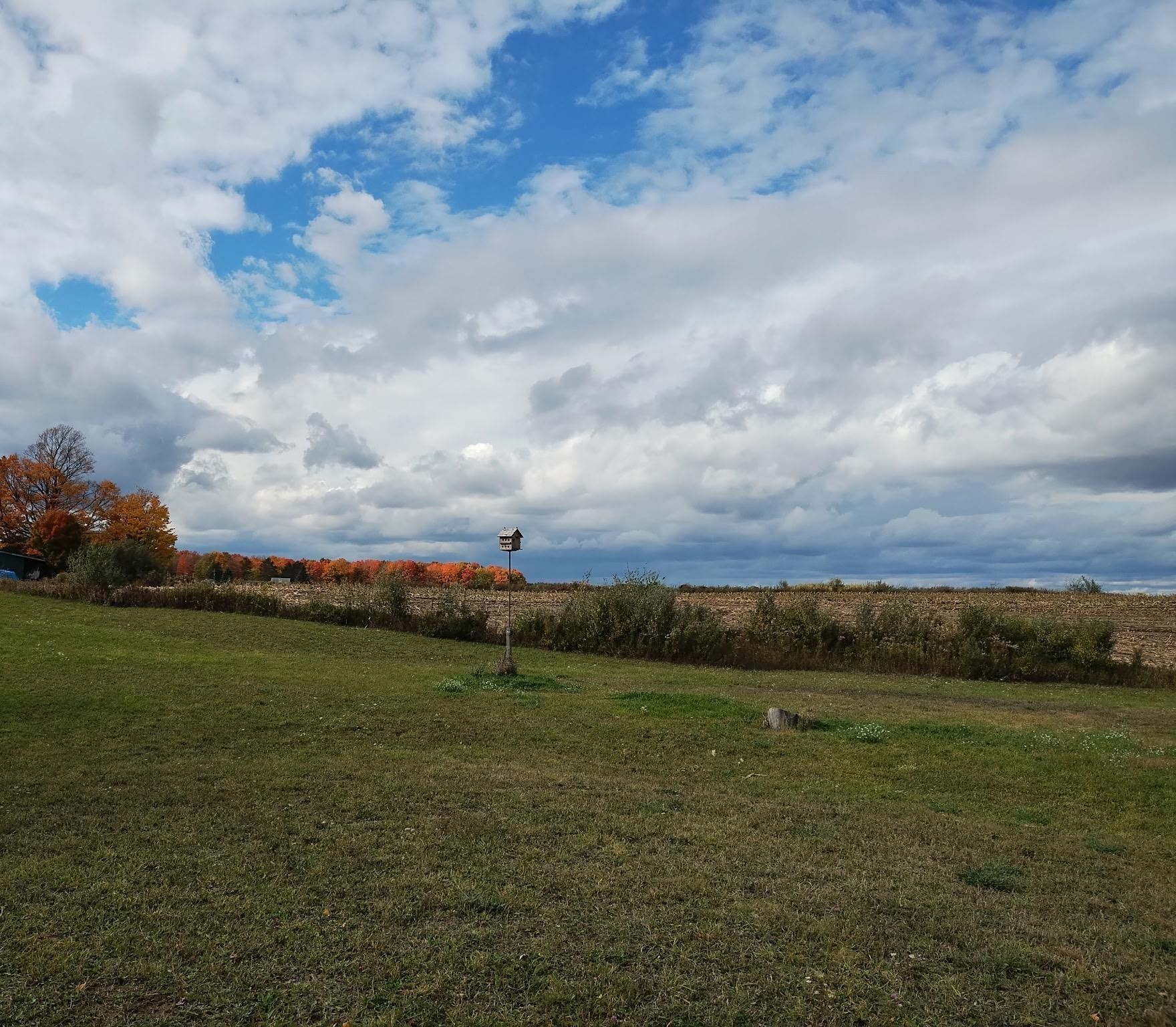 3700 Red School Road Kingsley, MI 49649 - Photo 47 of 64 Gallery Image 47