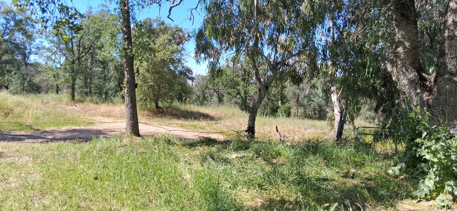 35778 Wells Road Coarsegold, CA 93614 - Photo 3 of 7