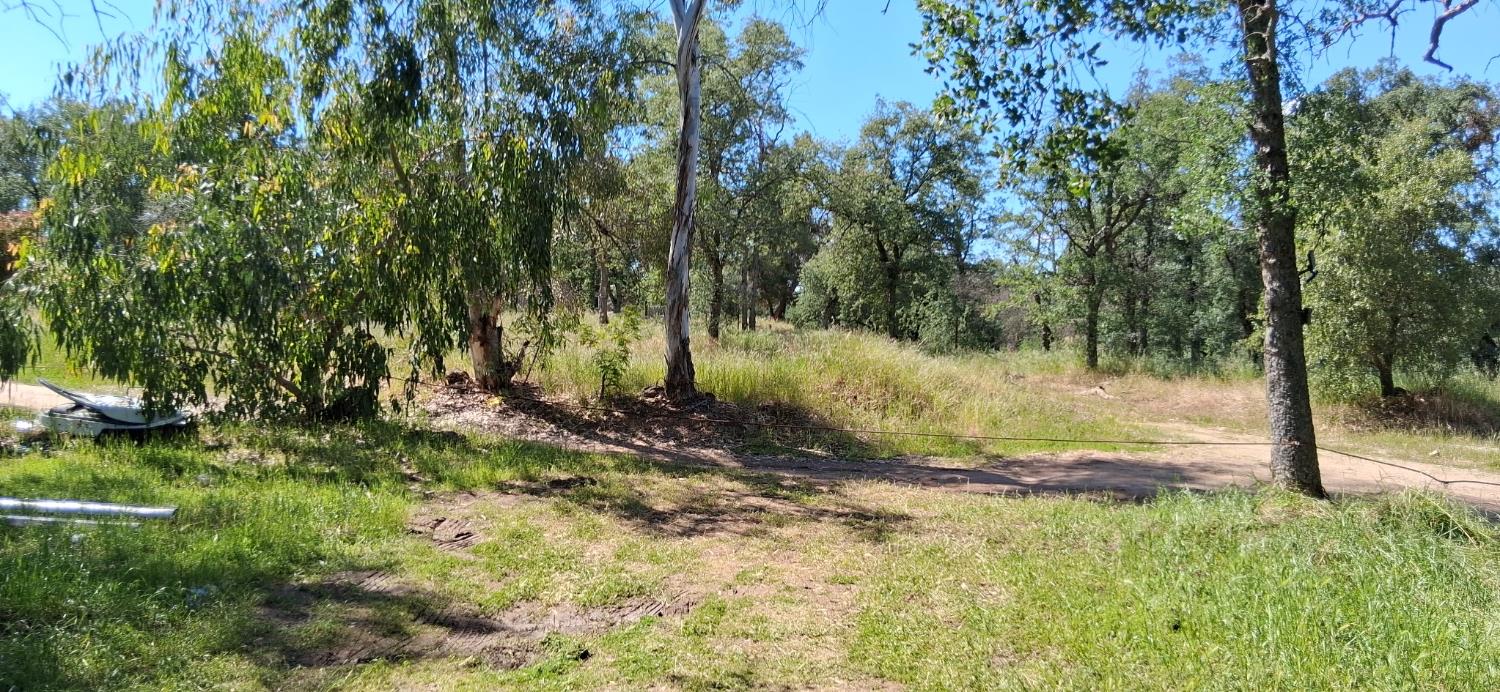 35778 Wells Road Coarsegold, CA 93614 - Photo 4 of 7