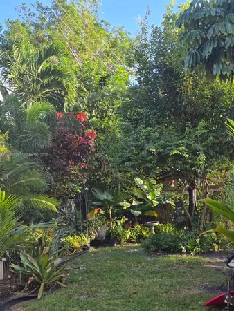 a view of a yard